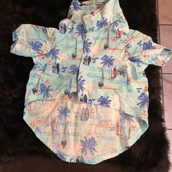 Pet posse button up puppy top. Size medium . - Picture 5 of 5
